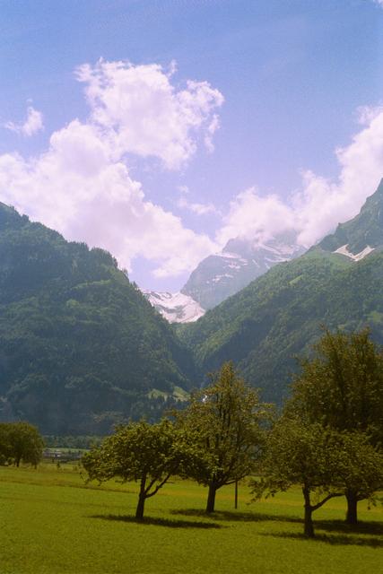 http://www.italiana.co.il/image/users/61532/ftp/my_files/pics/%D7%90%D7%9C%D7%A4%D7%99%D7%9D.jpg